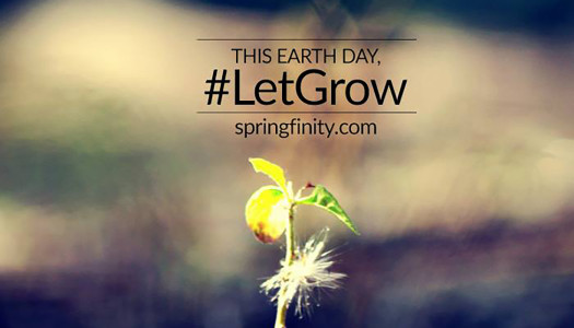 How Springfinity.com, an online entrant in gardening and accessories, #LetGrow with major brands on Twitter on Earth Day